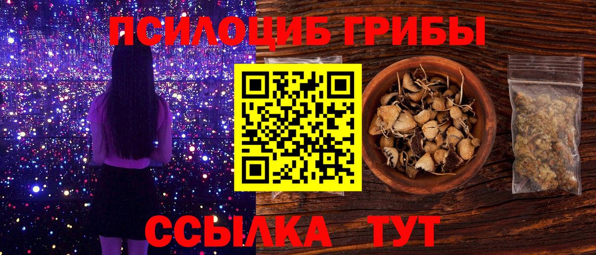 где найти наркотики  Галлюциногенные грибы Psilocybine cubensis  Вход с VPN  Михайловск 